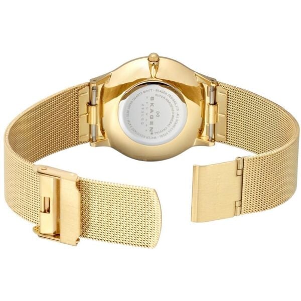 SKAGEN SKW6069