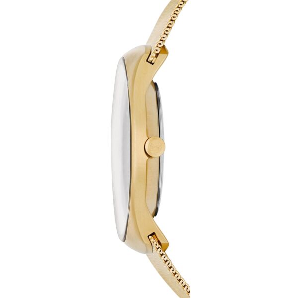 SKAGEN SKW6069