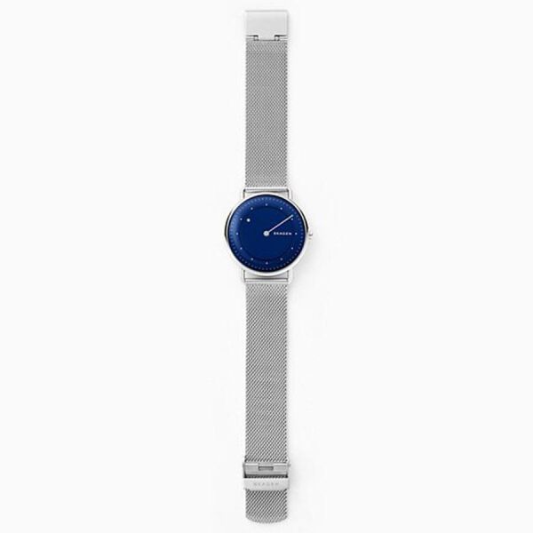 SKAGEN SKW6488