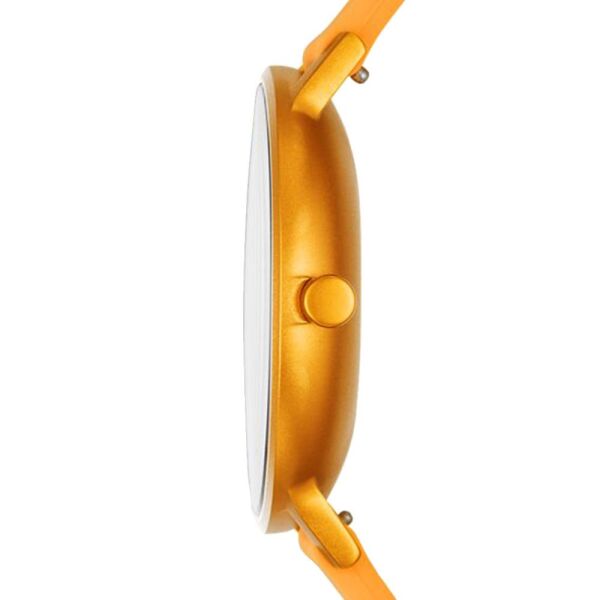 SKAGEN SKW6510