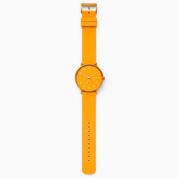 SKAGEN SKW6510
