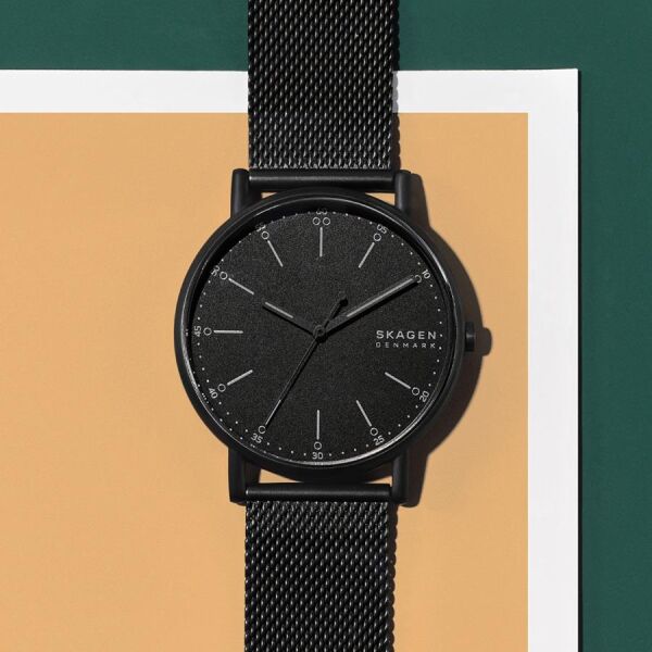SKAGEN SKW6579
