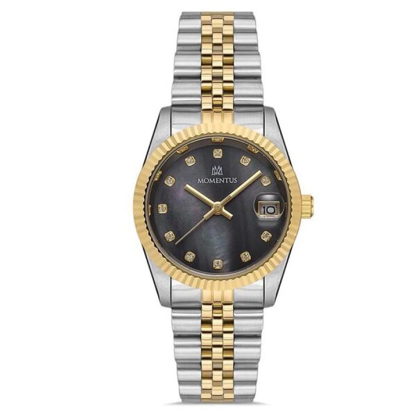 MOMENTUS SW132T-04SG