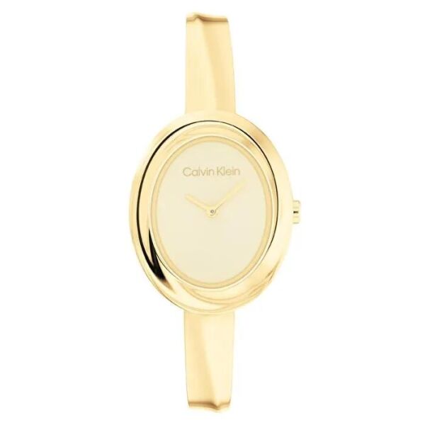 CALVIN KLEIN CK25100056