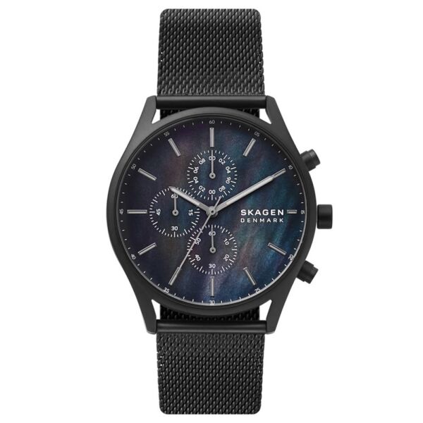 SKAGEN SKW6651