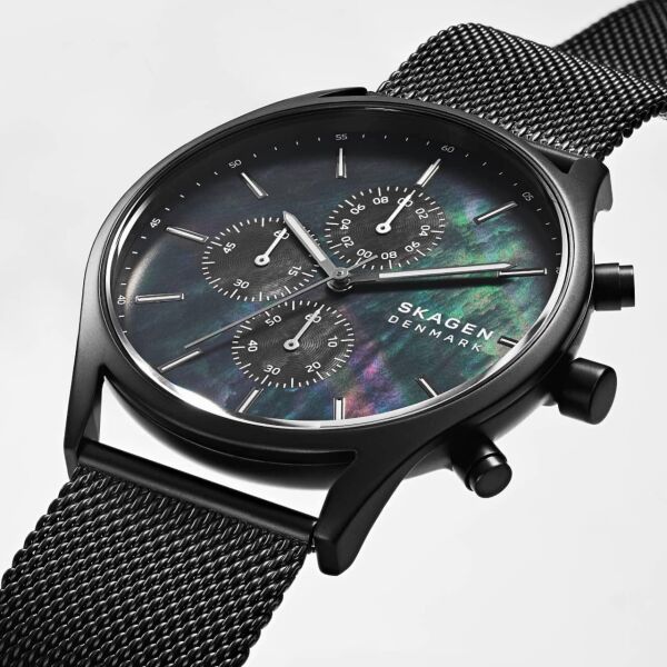 SKAGEN SKW6651
