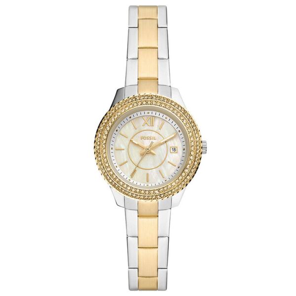 FOSSIL FFS5138