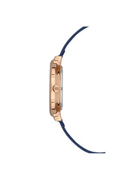 NACAR NC17-3920549-RLM