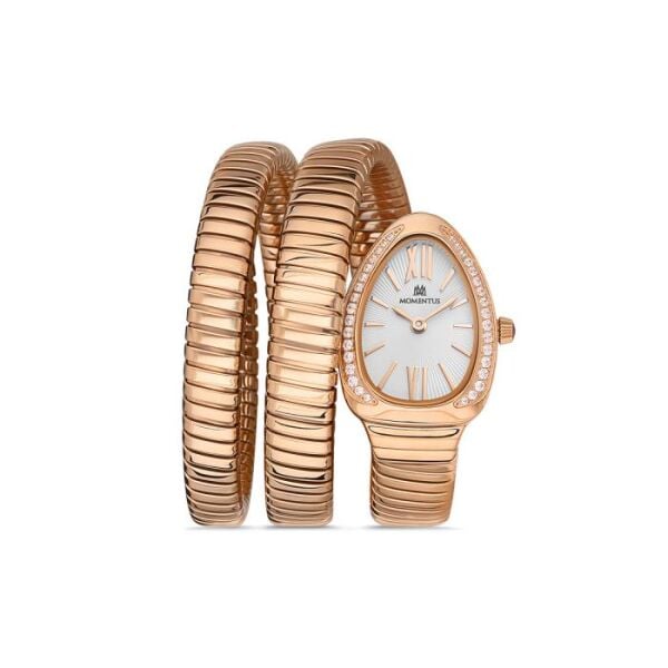 MOMENTUS SS256R-02SR