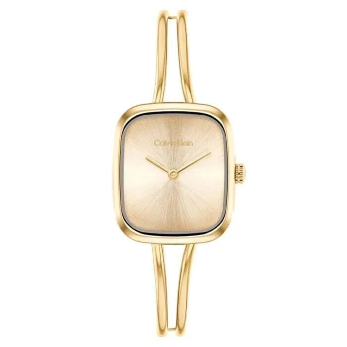 CALVIN KLEIN CK25100132