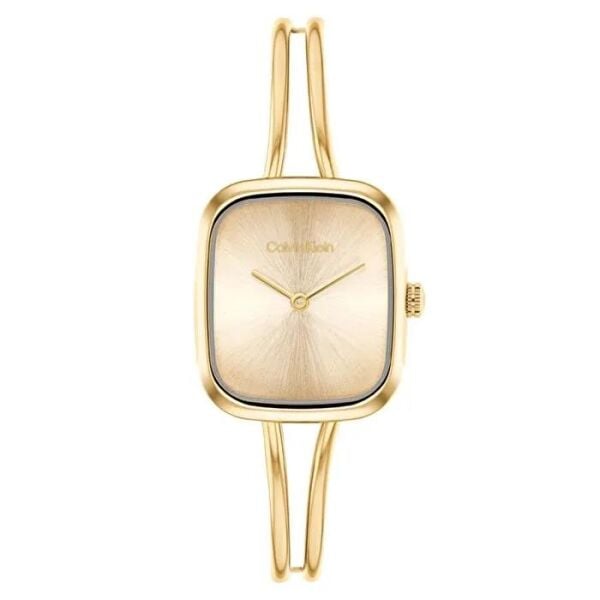 CALVIN KLEIN CK25100132