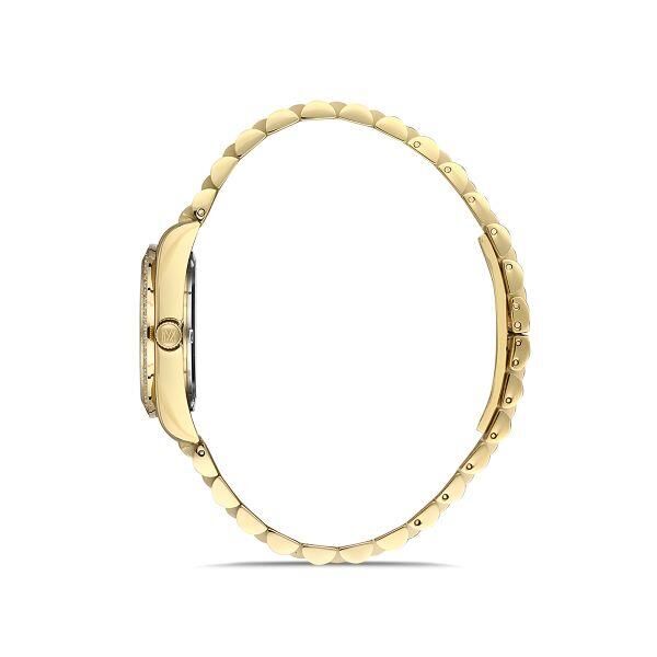 MOMENTUS SS238G-08SG