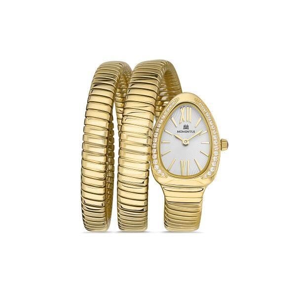 MOMENTUS SS256G-02SG