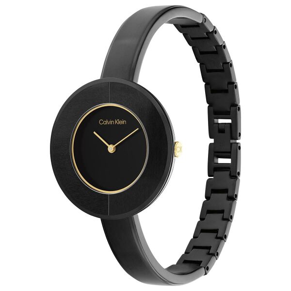 CALVIN KLEIN CK2520024