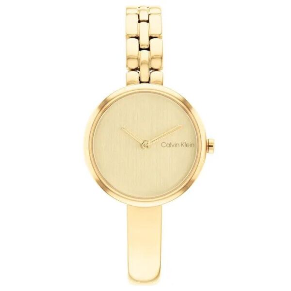 CALVIN KLEIN CK25200279