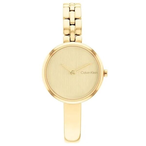 CALVIN KLEIN CK25200279