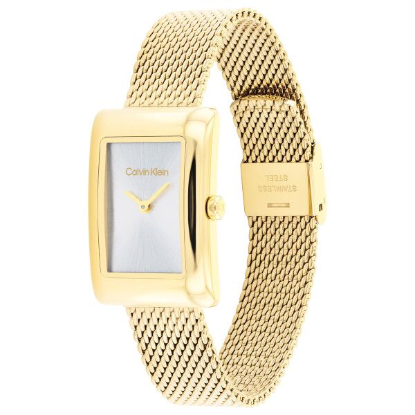 CALVIN KLEIN CK25200396