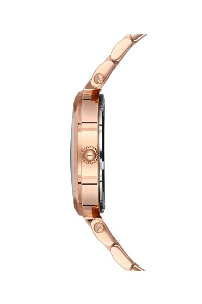 NACAR NC33-398076-RWM