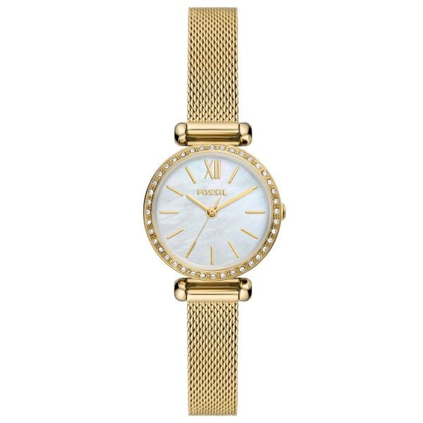 FOSSIL FBQ3898