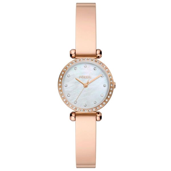 FOSSIL FBQ3894