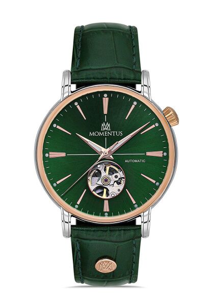 MOMENTUS TM349T-15YR