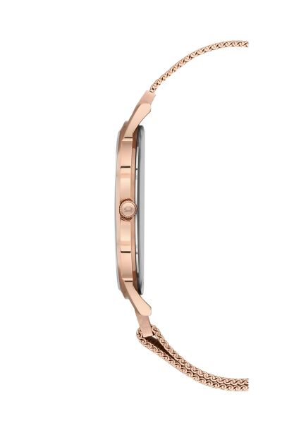 NACAR NC34-290310-RSM