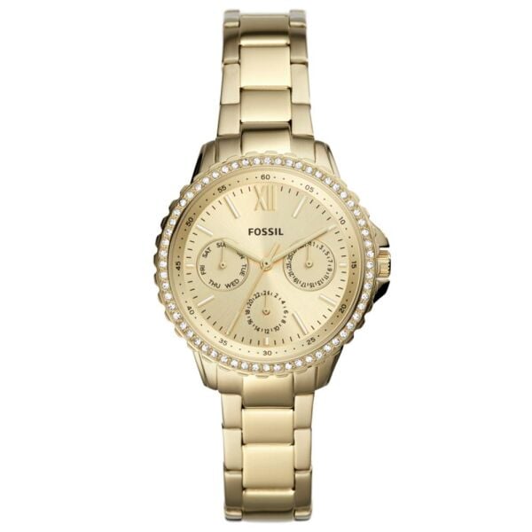 FOSSIL FES4890