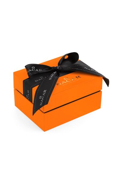 NACAR NC36-391972-ASMS-SET