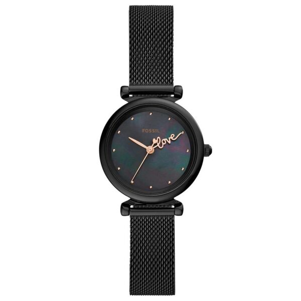 FOSSIL FES4829