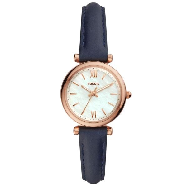 FOSSIL FES4502