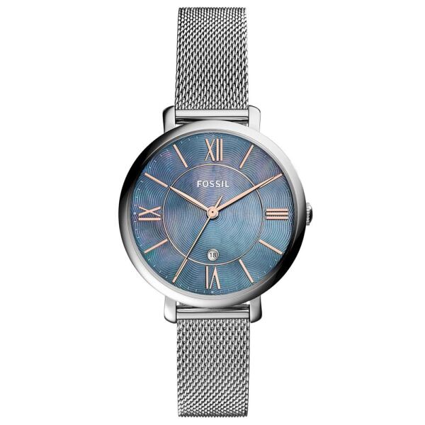 FOSSIL FES4322