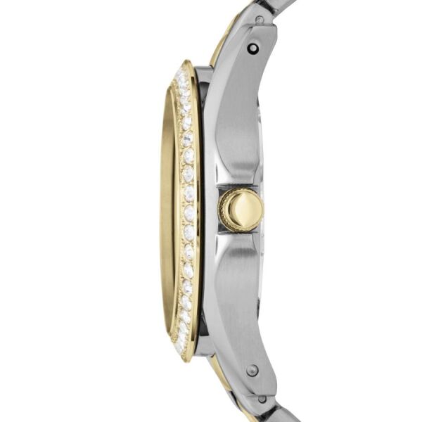 FOSSIL FES3204