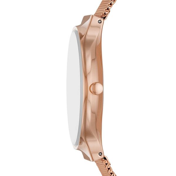 SKAGEN SKW3020