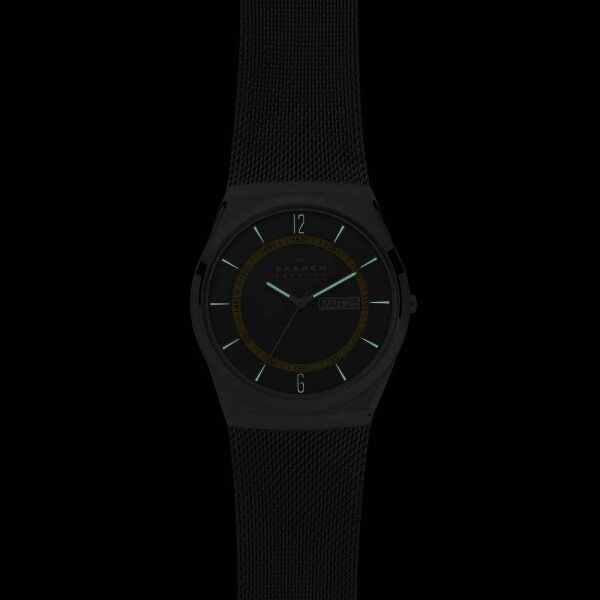 SKAGEN SKW6789